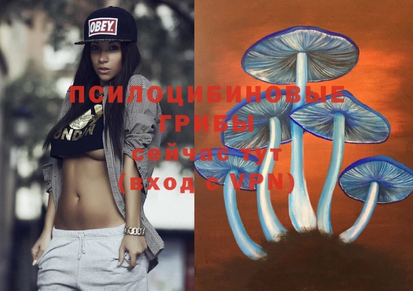 мескалин Балахна