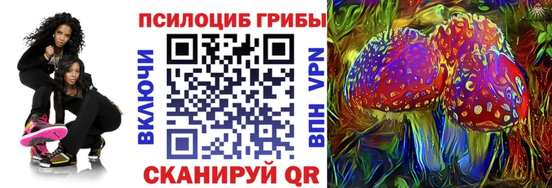 наркотики  Печоры  Галлюциногенные грибы Psilocybe 